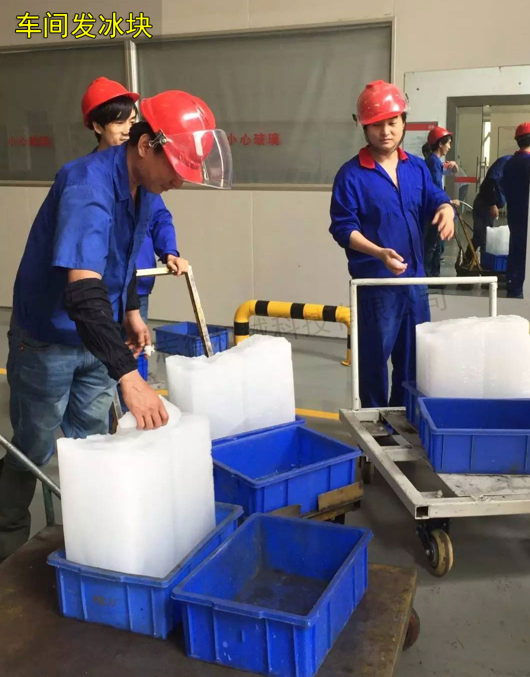 常州沖床送料機(jī)廠家福利